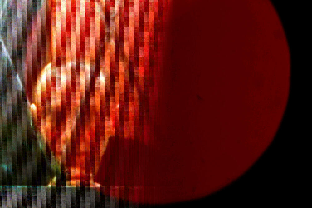 Navaljni, Foto: Reuters