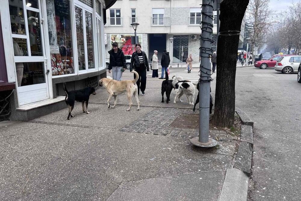 Svakodnevna slika na ulicama Nikšića, Foto: Svetlana Mandić