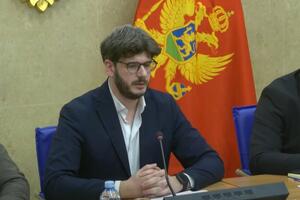 Čarapić: Odbor da nađe rješenje za Šavnik, Vlada, DIK, policija i...