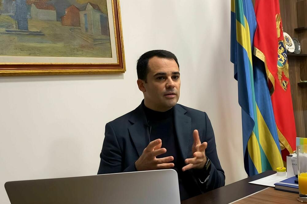 DPS će ponuditi reforme, ali bez “populizma”: Raičević, Foto: Marija Pešić