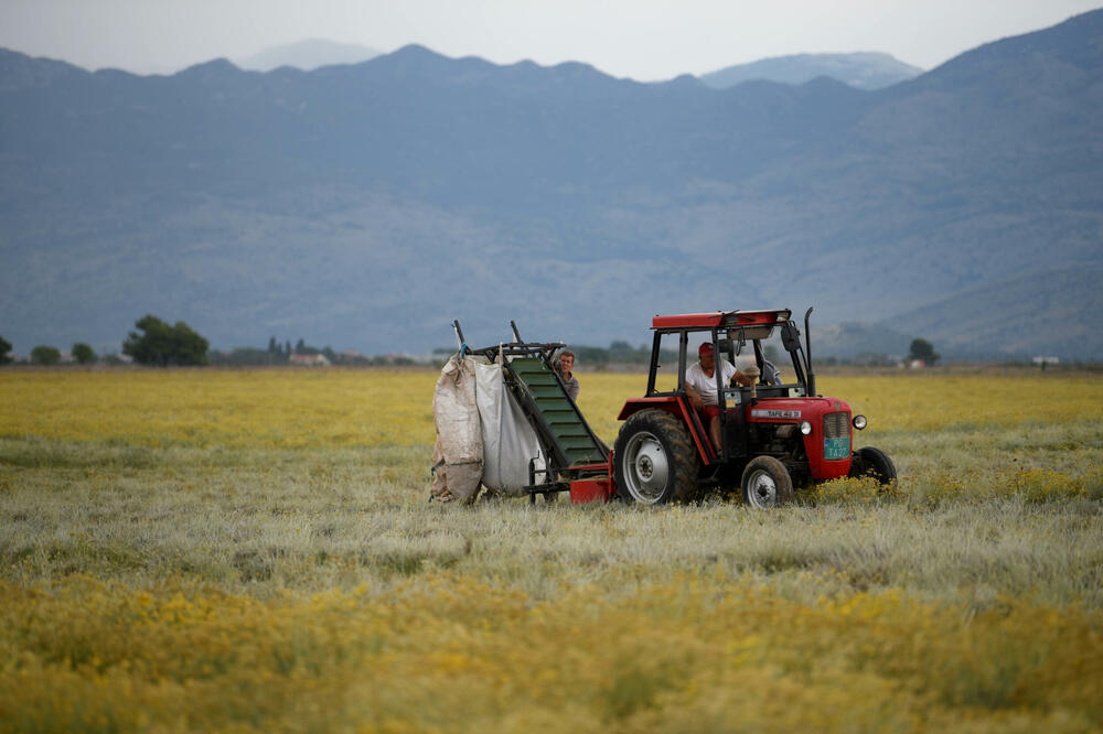 U okviru projekta na raspolaganju 52 miliona (ilustracija), Foto: BORIS PEJOVIC