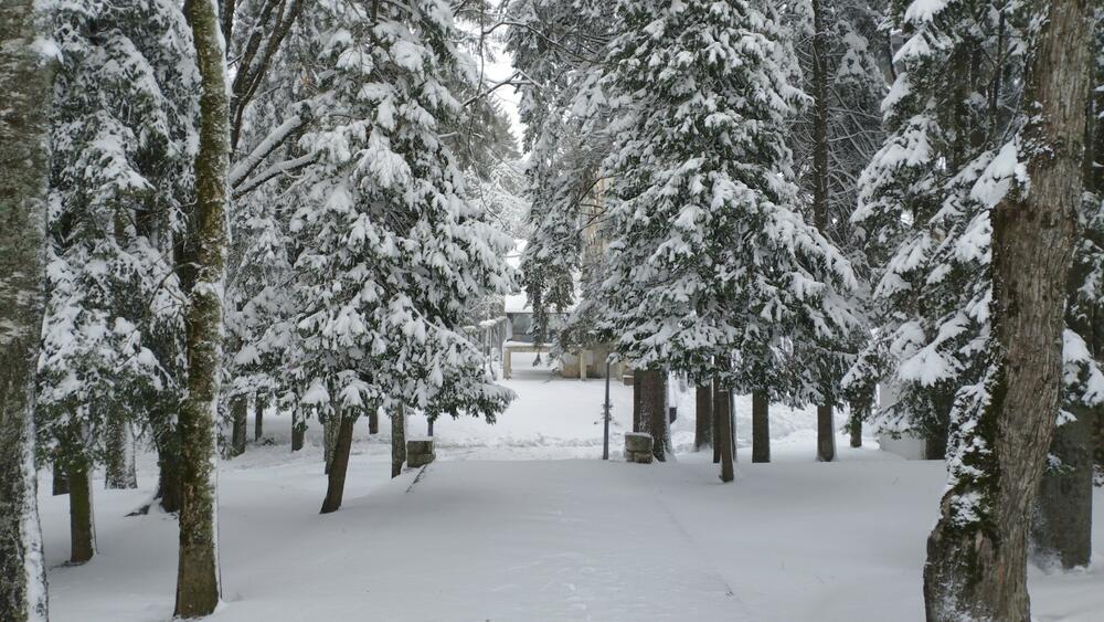 <p>Pada 'suvi' sjeverni snijeg, praćen jakim vjetrom, pa su pojedini djelovi staze, bukvalno, kopni. Ukoliko bi se padavine nastavile, uz još 20 centimetara novog snijega, mogli bi da pripremimo staze i konačno počenemo skijašku sezonu, u pravom smislu te riječi", rekao je "Vijestima" rukovodilac državnog Ski centra Kolašin 1600 Bojan Medenica</p>