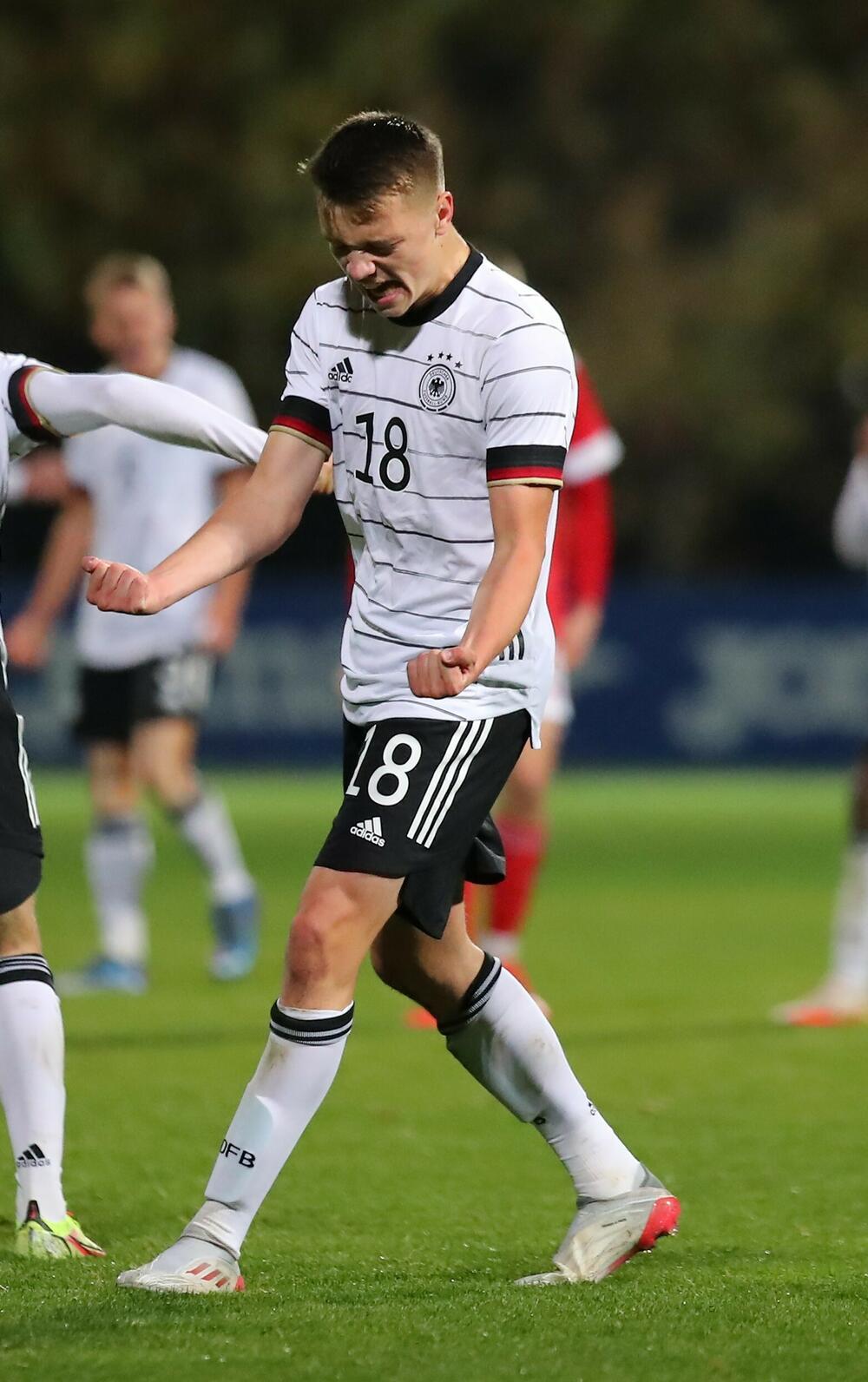 Dženan Pejčinović