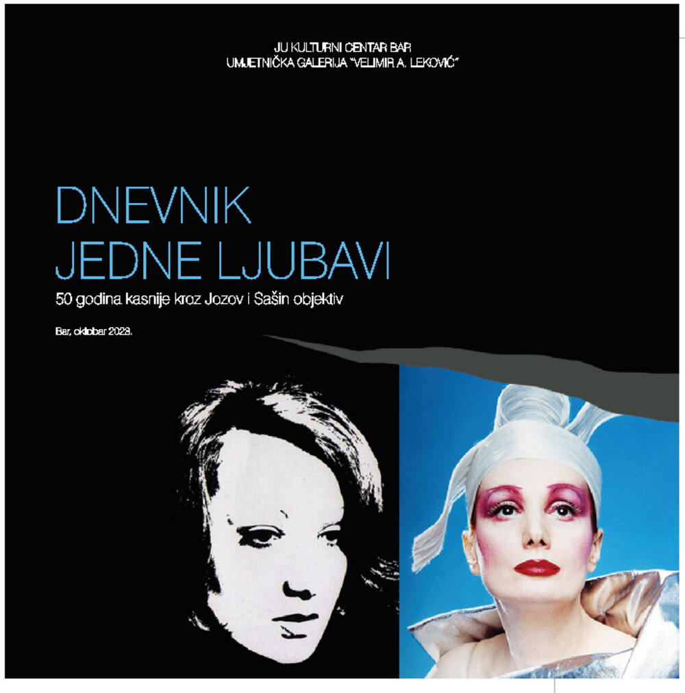 Saša Ćetković radovi