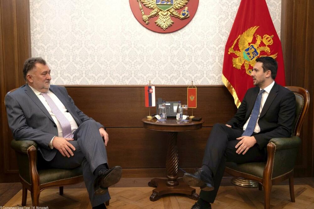 Smailović i Gandel, Foto: Bošnjačka stranka