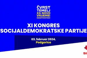 SDP bira novo rukovodstvo 3. februara