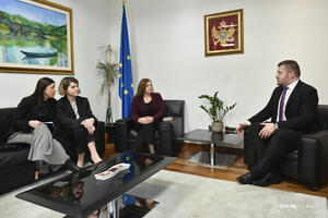 Koprivica: Izborna reforma ključna za funkcionalnost političkog...