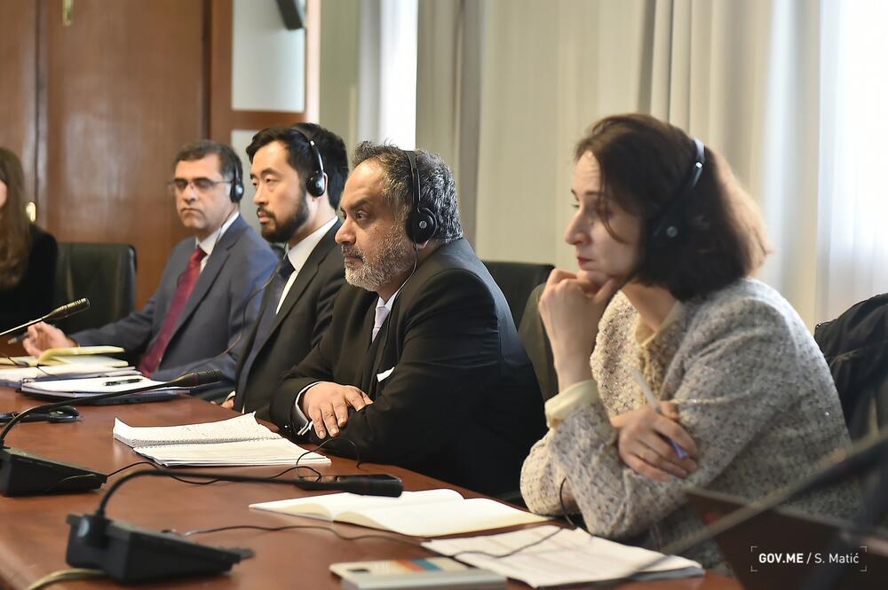 Novica Vuković, MMF