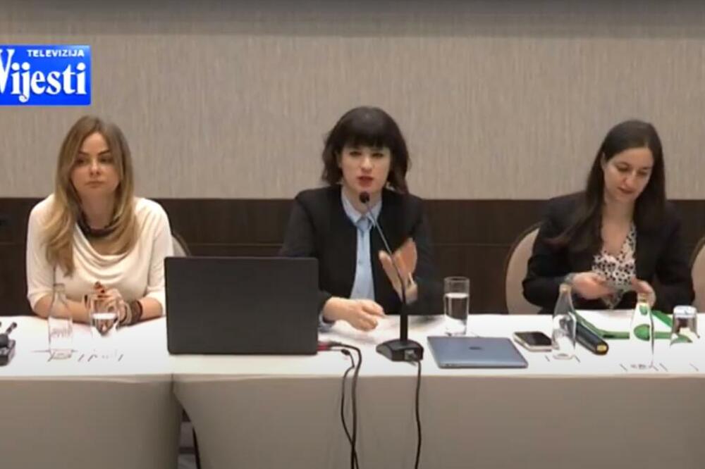 Sa konferencije za medije, Foto: Printscreen/YouTube/TV Vijesti