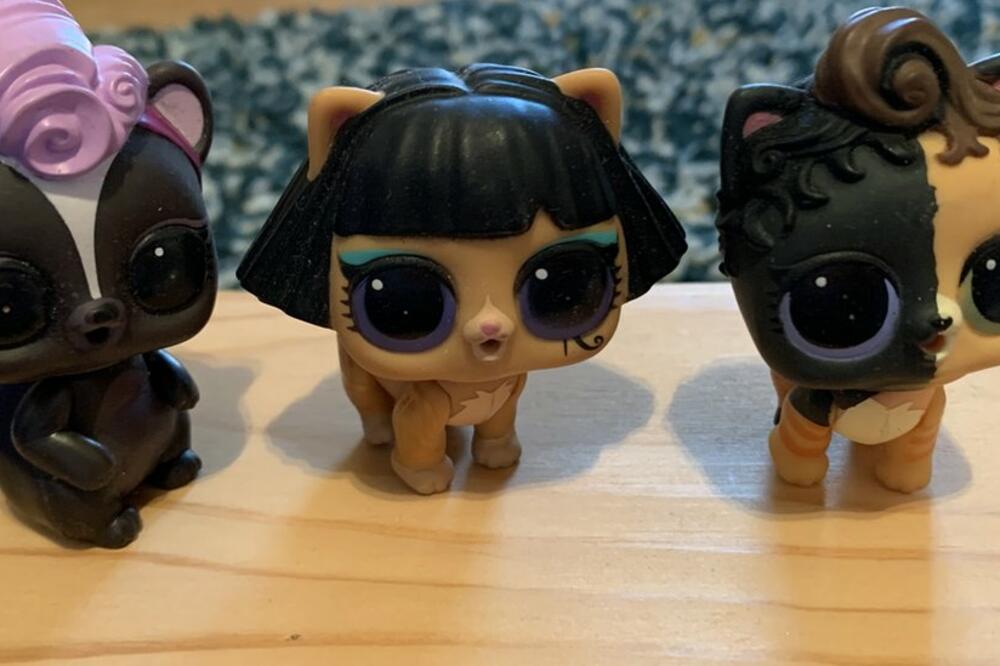 Foto: Jelena Subin/Privatna arhiva