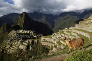 Residents prevented the privatization of Machu Picchu ticket sales