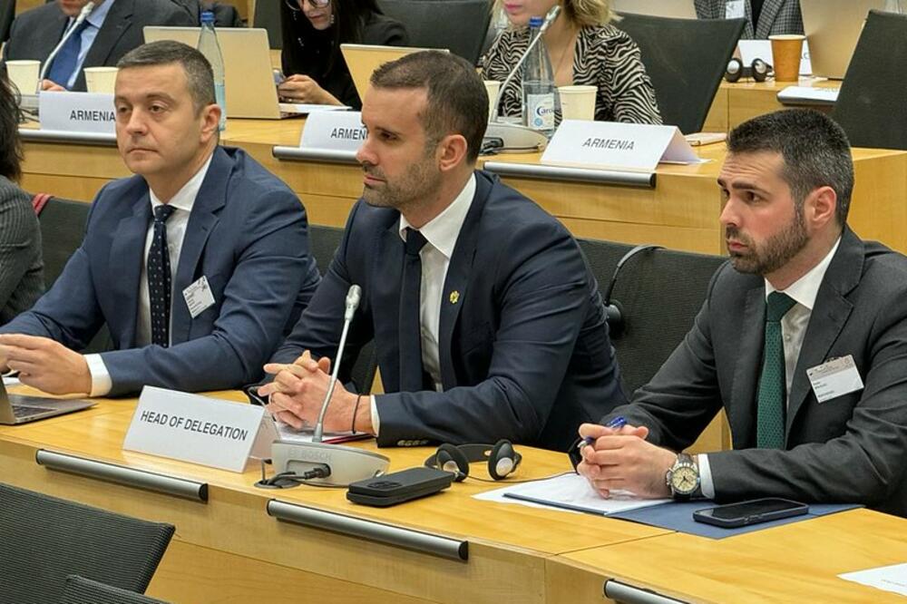 Spajić na sjednici Komiteta eksperata za evaluaciju mjera za borbu protiv pranja novca i finansiranja terorizma Savjeta Evrope, Foto: Gov.me