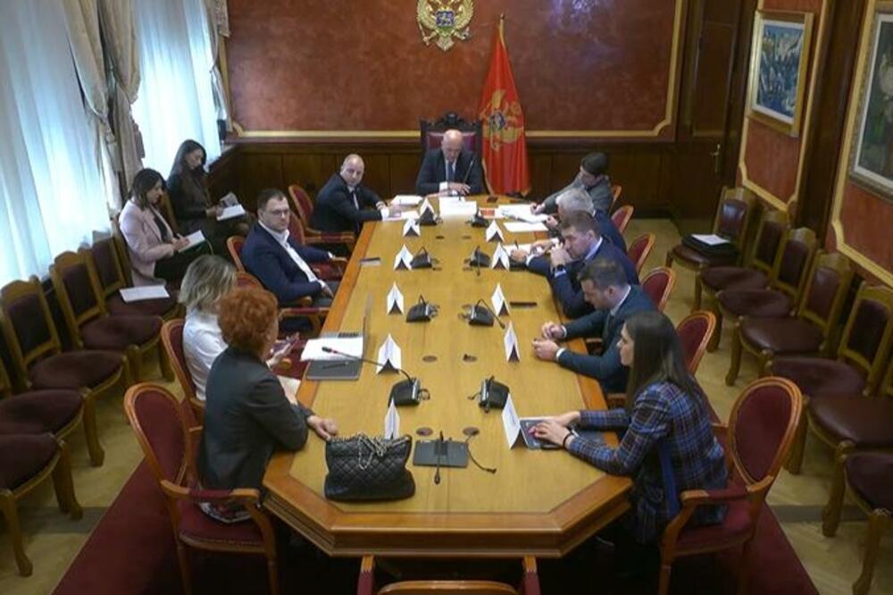 Sjednica, Foto: Printscreen YouTube