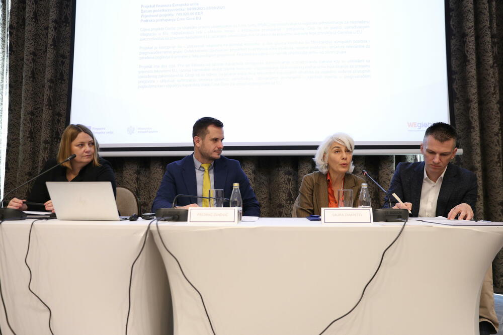 Sa konferencije, Foto: Ministarstvo evropskih poslova