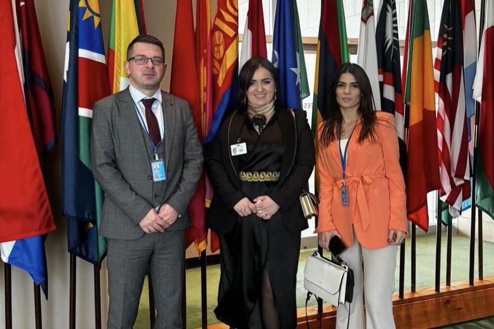 Delegacija Crne Gore u Njujorku, Foto: Ministarstvo rada i socijalnog staranja