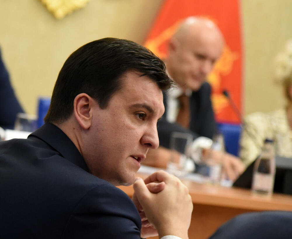 Milović na sjednici Odbora