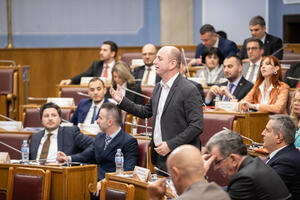 Resolution on Šahović: DNP against, others are silent