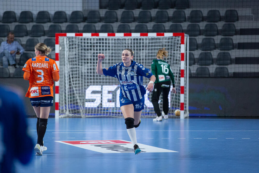 "Plave" se nadaju velikoj pomoći sa tribina, Foto: Dejan Starčević/ŽRK Budućnost