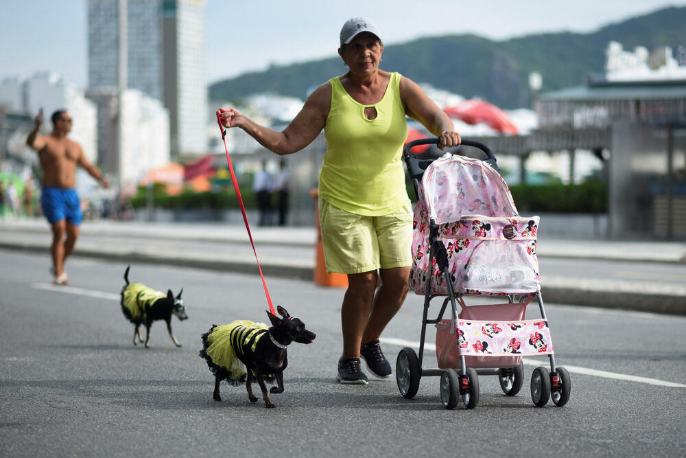<p>Psići raznih veličina i rasa veselo su prošetali mašući repovima, dok su organizatori preko razglasa saopštavali njihova imena, dok su ulice bile zatrpavane konfetama</p>