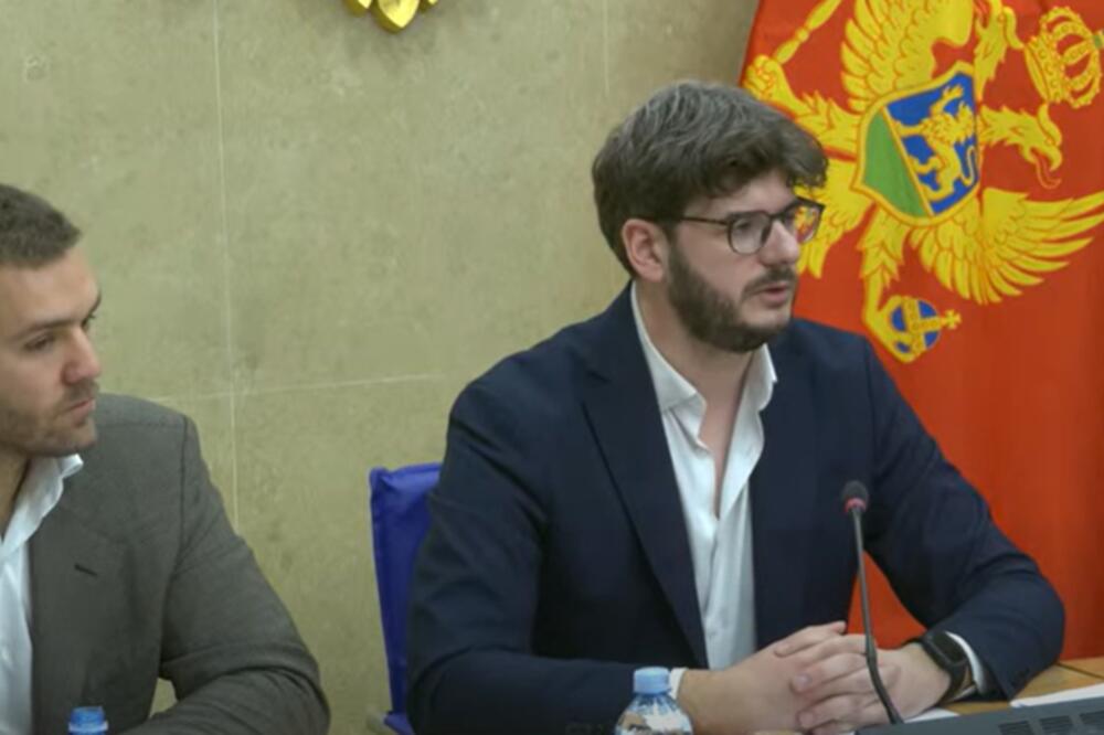 Sa prve sjednice Odbora, Foto: YouTube/prtsc