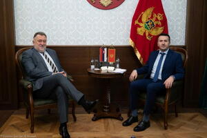 Pejović: Crna Gora će nastaviti da ispunjava obaveze iz evropske...