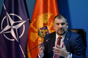 Krapović: Montenegro is stronger and safer with NATO allies