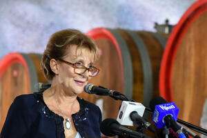 Verica Maraš pokrenula neobičan sudski spor: Tuži jer je sebi...