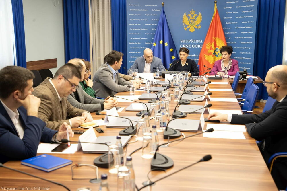 Sa sjednice, Foto: Skupština Crne Gore