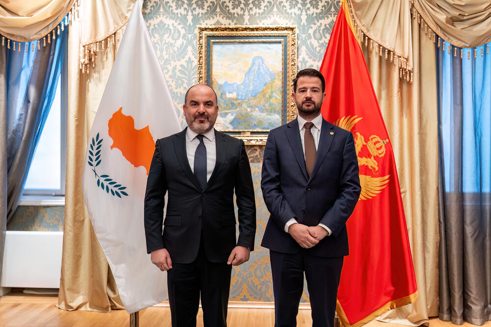 mialtović ambasadori