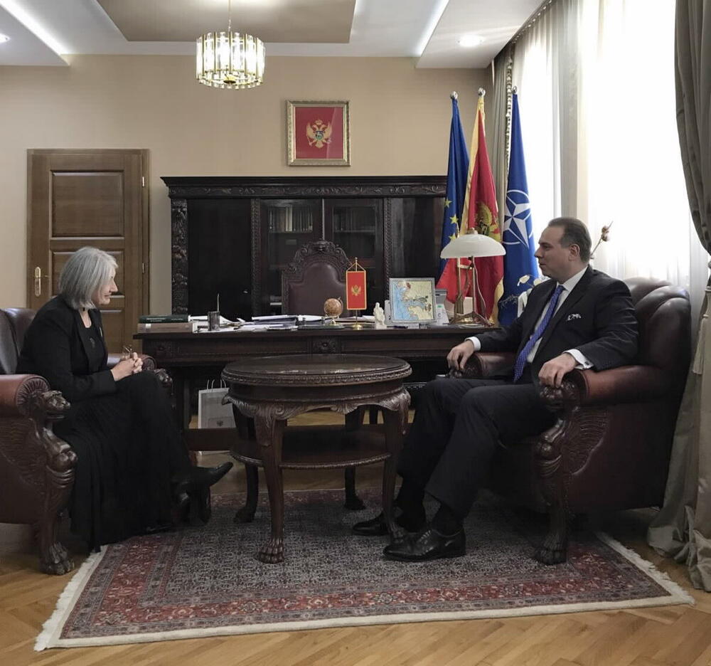 ivanović ambasadori