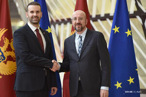 Spajić sa Mišelom: Podrška Crnoj Gori i radu Vlade