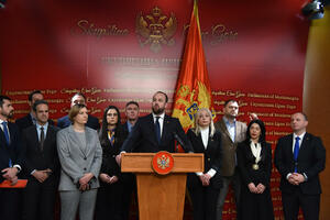 DPS, SD, HGI and DUA filed criminal charges against Mandić, BS...
