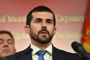 Nenezić: PES-a potvrdio da je Mandić gazda parlamentarne većine