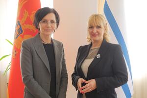Gradišnik: Slovenia has always supported Montenegro, not only...