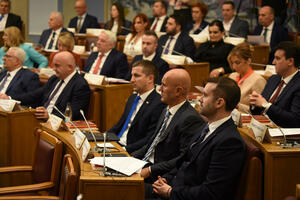 The resolution on Šahović reached the parliamentary clubs