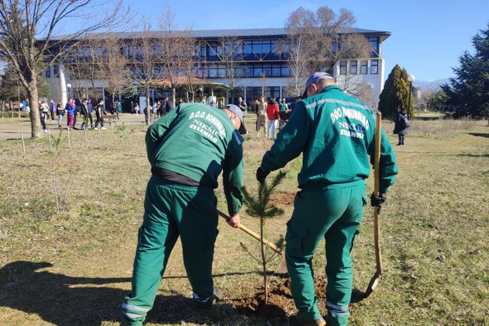 Foto: Svetlana Mandić