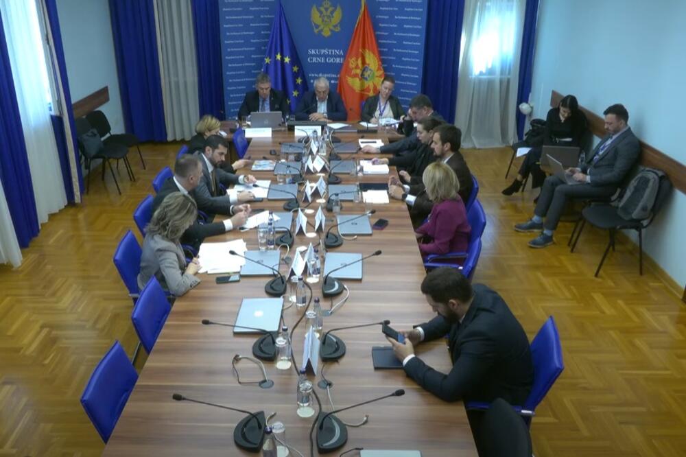 Sa sjednice Odbora za turizam, poljoprivredu, ekologiju i prostorno planiranje, Foto: Skupština Crne Gore
