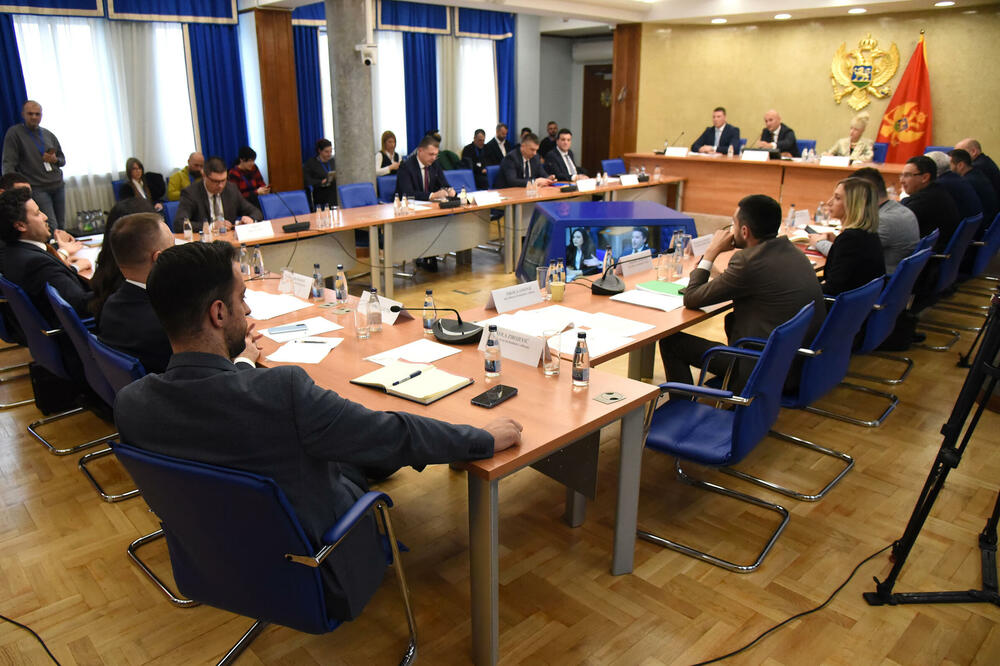Detail from the open part of the session of the Security and Defense Committee, Photo: Luka Zeković