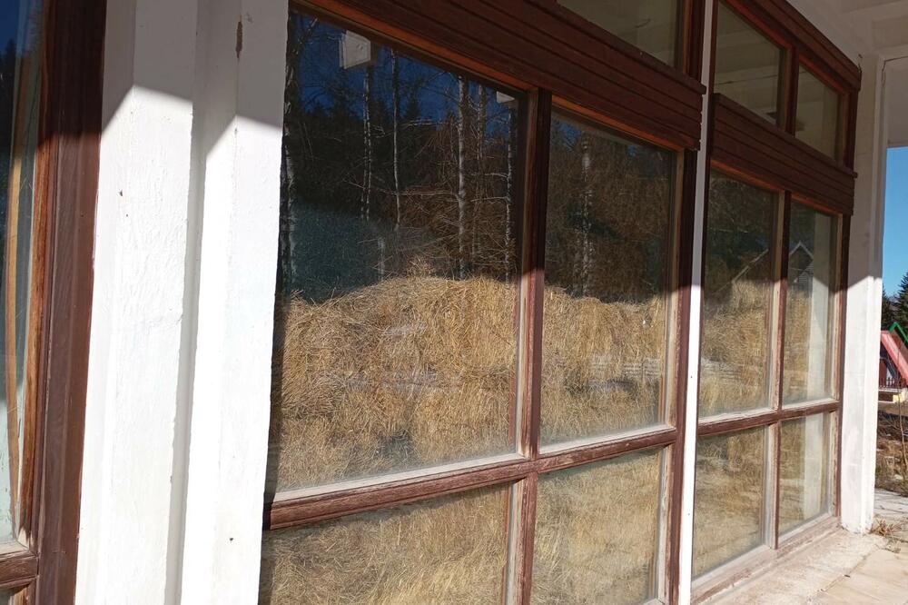 Foto: Čitalac Vijesti