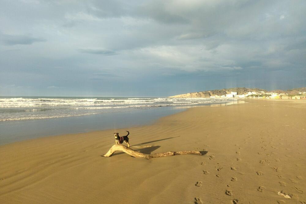 Velika plaža idealna za pripremu sportista, Foto: Samir Adrović