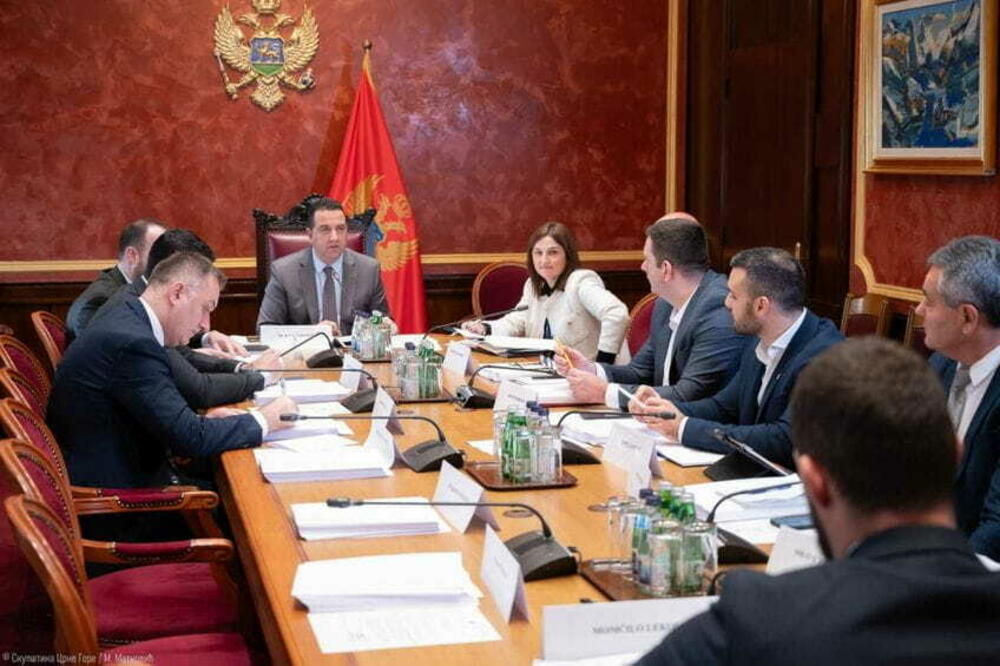 Sa jedne od sjednica Odbora za antikorupciju, Foto: skupstina.me