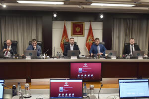 Vlada uspostavlja javni registar privrednih društava u većinskom...