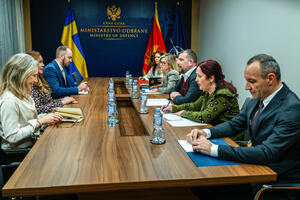 Krapović with Ben David: Sweden's membership in NATO will strengthen...