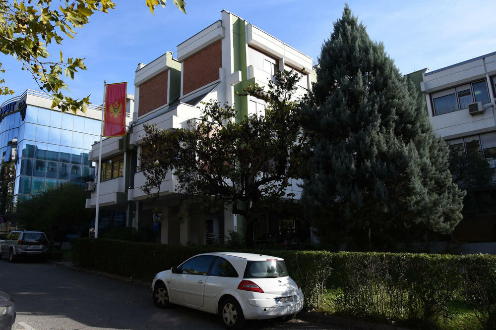 Uprava carina (ilustracija), Foto: Luka Zeković