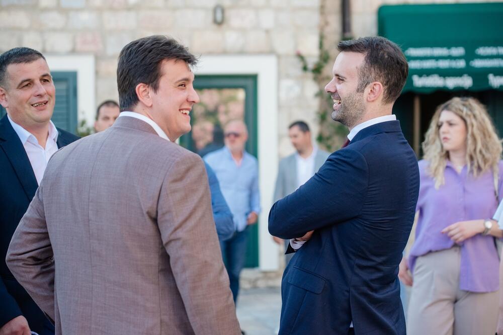 Partijski drugovi mu zamjerili nesmotrene izjave i ponašanje: Milović sa Spajićem, Foto: PES