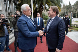 Mandić: Skupština u najkraćem roku da usvoji zakone koji su...