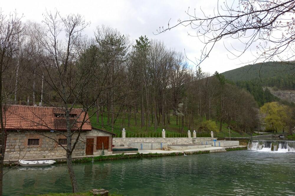 Ribnjak u Vodicama, Foto: Goran Malidžan