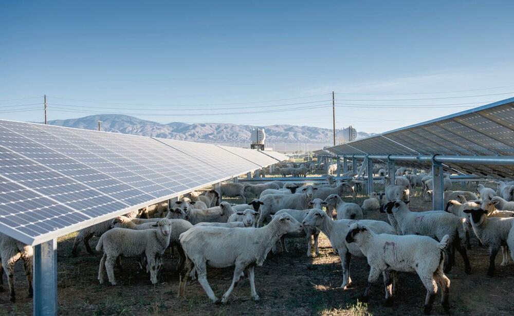 <p>Predstavljeni rezultati studije "Mapiranje potencijala solara i vjetra na teritoriji opštine Nikšić", čiju izradu su predvodile organizacije Eko-tim i "The Nature Conservancy" u saradnji sa Opštinom Nikšić</p>