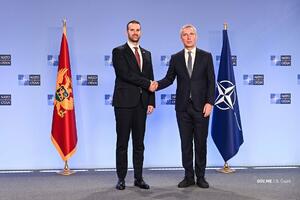 Stoltenberg invited Spajić to the NATO Summit in Washington