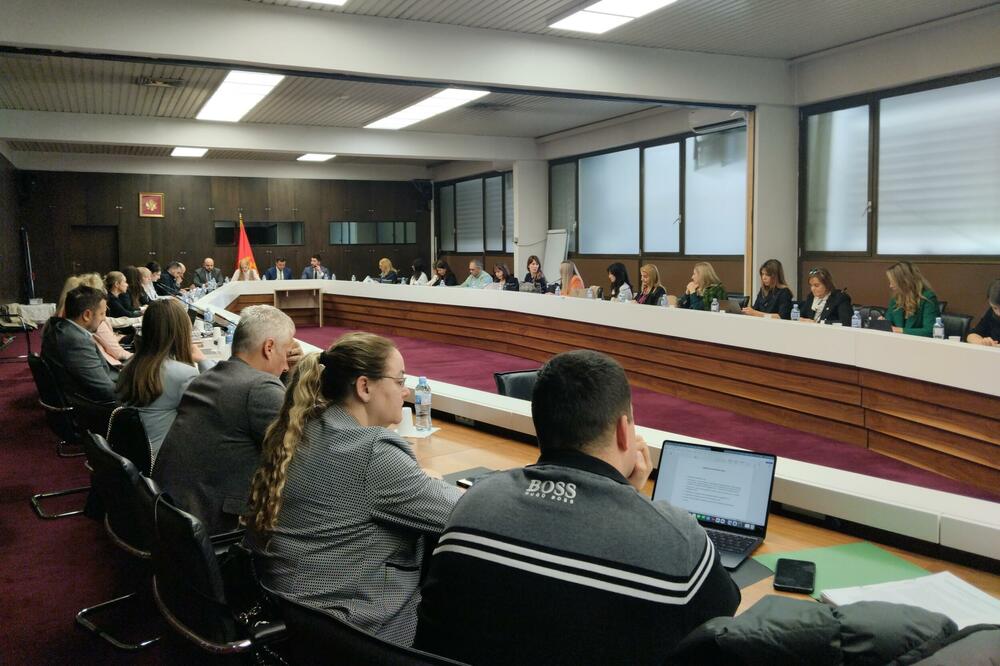 Foto: Ministarstvo evropskih poslova